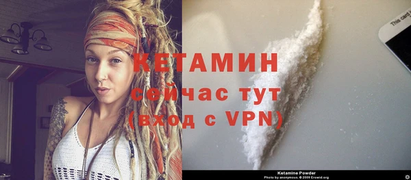 гидра Богданович