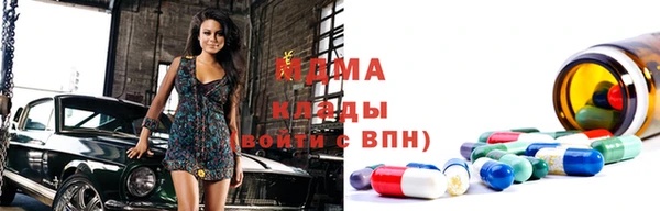 spice Богородицк