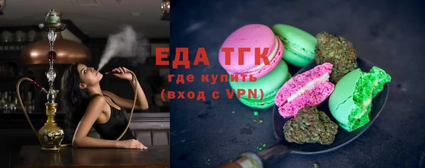 гидра Богданович