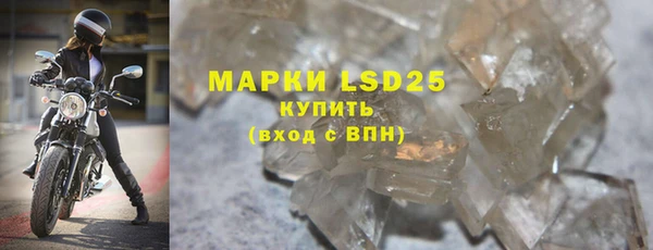 spice Богородицк
