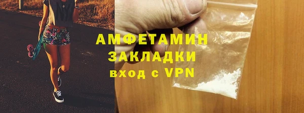 гидра Богданович