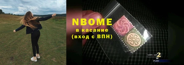 гидра Богданович