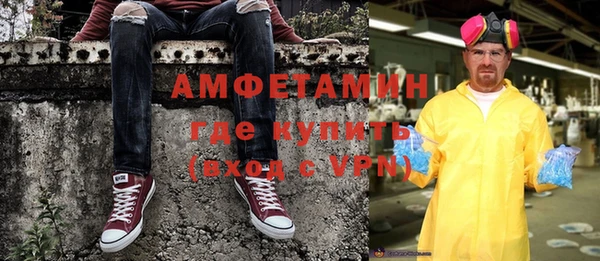 гидра Богданович