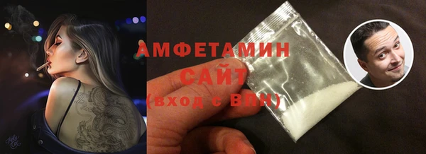 spice Богородицк