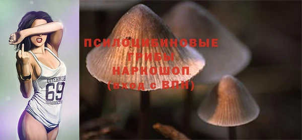 спайс Богородск