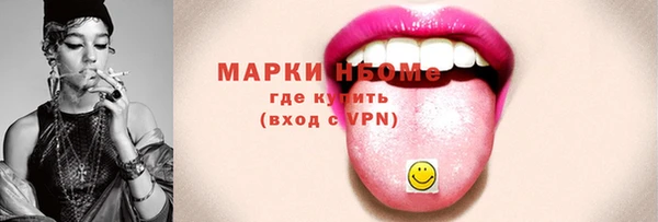 spice Богородицк