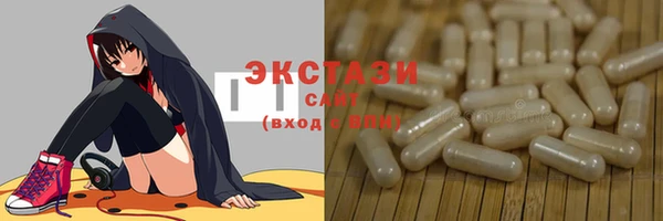 spice Богородицк