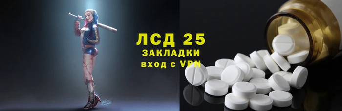 spice Богородицк