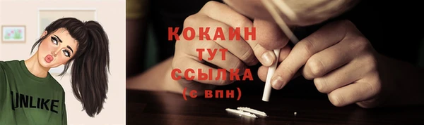 гидра Богданович