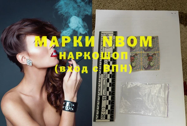 гидра Богданович