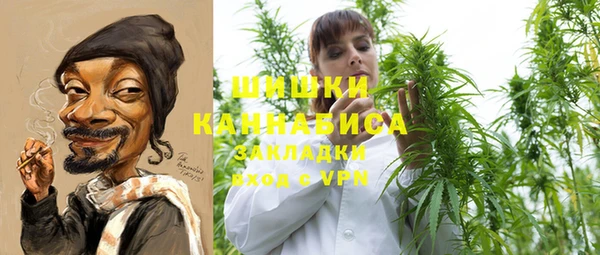 spice Богородицк
