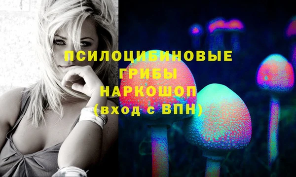 spice Богородицк
