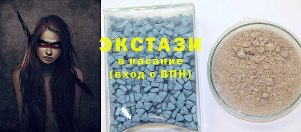 гидра Богданович