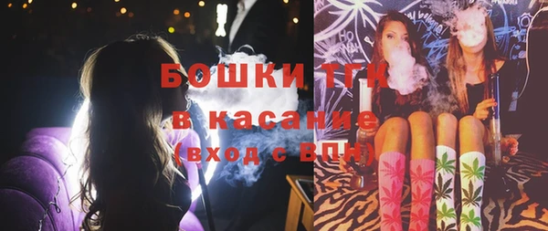 spice Богородицк