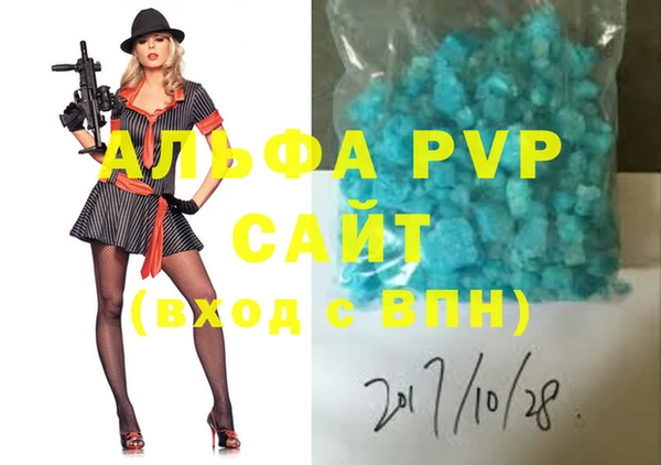 гидра Богданович