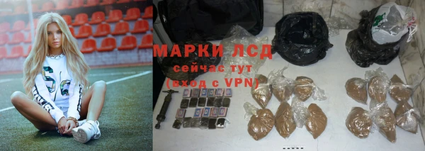 spice Богородицк