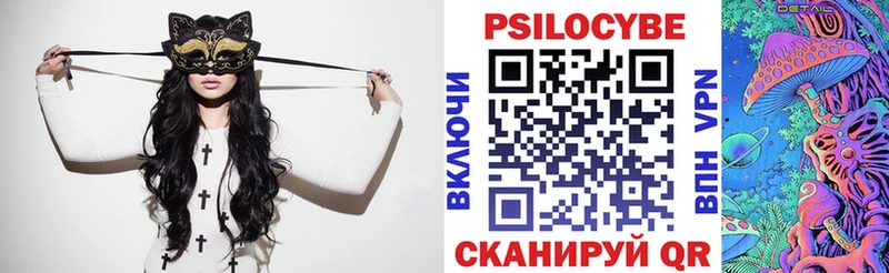 купить наркотик  Ядрин  Псилоцибиновые грибы Psilocybe 